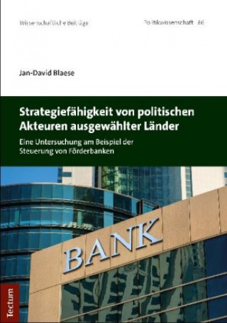 Książka Strategiefähigkeit von politischen Akteuren ausgewählter Länder Jan-David Blaese