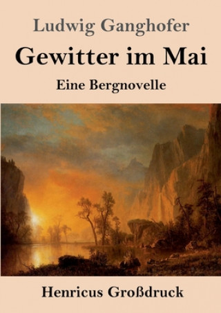 Βιβλίο Gewitter im Mai (Grossdruck) Ludwig Ganghofer