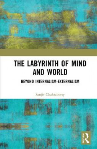 Kniha Labyrinth of Mind and World Chakraborty