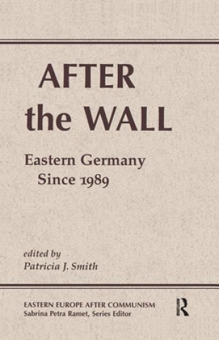 Knjiga After The Wall Patricia J. Smith