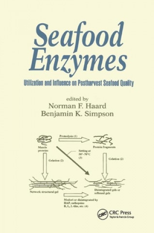 Kniha Seafood Enzymes Norman F. Haard