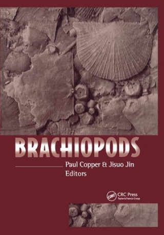 Książka Brachiopods Paul Copper