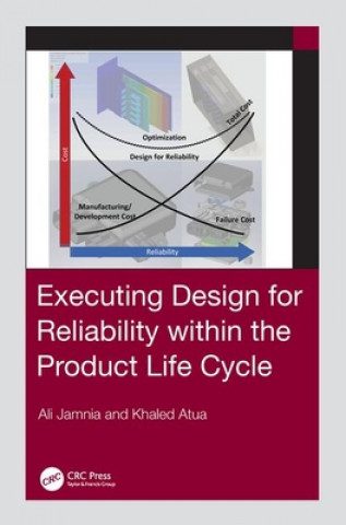 Livre Executing Design for Reliability Within the Product Life Cycle Ali Jamnia