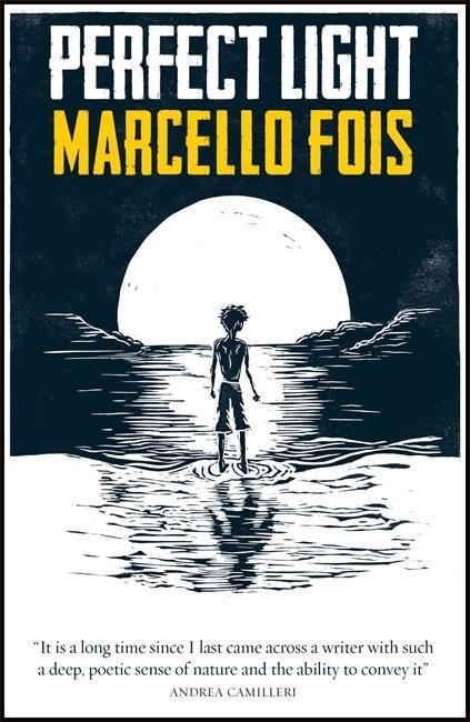 Kniha Perfect Light Marcello Fois