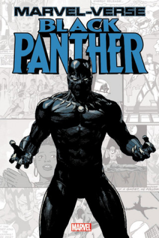 Kniha Marvel-verse: Black Panther Marvel Comics