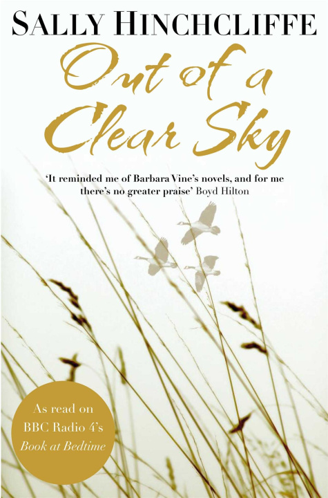 Βιβλίο Out of a Clear Sky Sally Hinchcliffe