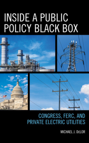 Βιβλίο Inside a Public Policy Black Box Michael J. Delor
