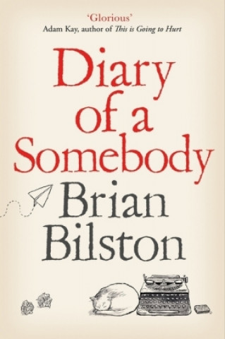 Könyv Diary of a Somebody Brian Bilston
