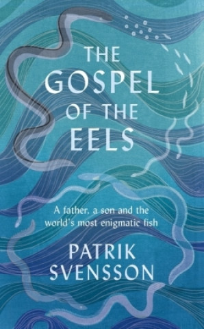 Kniha Gospel of the Eels PATRIK SVENSSON