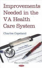 Improvements Needed in the VA Health Care System