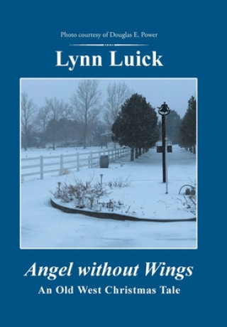 Boek Angel Without Wings Lynn Luick