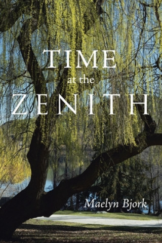 Libro Time at the Zenith Maelyn Bjork