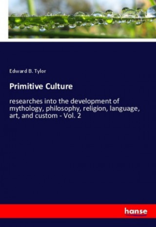 Buch Primitive Culture Edward B. Tylor