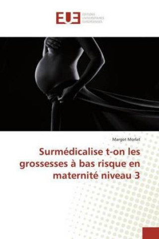 Knjiga Surmédicalise t-on les grossesses ? bas risque en maternité niveau 3 