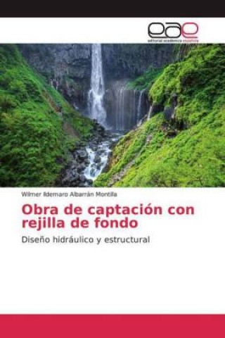 Buch Obra de captación con rejilla de fondo 