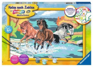Igra/Igrača Ravensburger Malen nach Zahlen 28492 - Stolze Wildpferde - Kinder ab 9 Jahren 