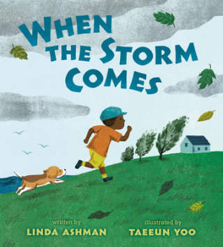 Kniha When the Storm Comes Taeeun Yoo