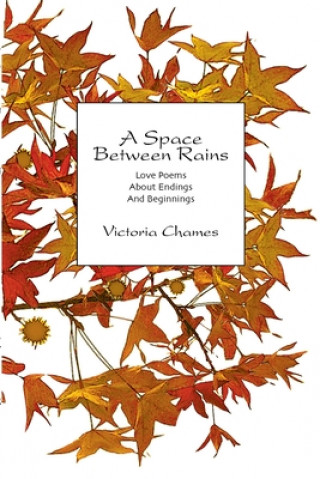 Kniha Space Between Rains Victoria Chames