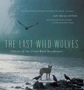 Książka Last Wild Wolves 