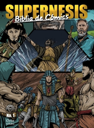 Kniha Supernesis Biblia de Cómics Jaime L. Villalba
