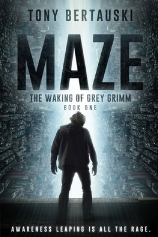 Boek Maze Tony Bertauski