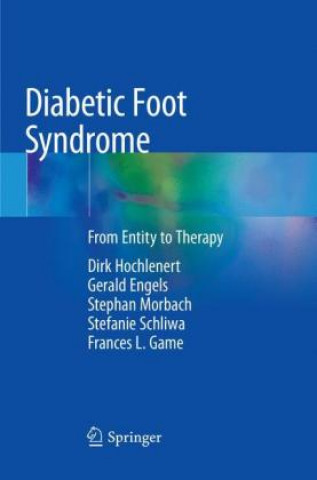 Kniha Diabetic Foot Syndrome Dirk Hochlenert