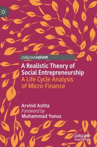 Kniha Realistic Theory of Social Entrepreneurship Arvind Ashta