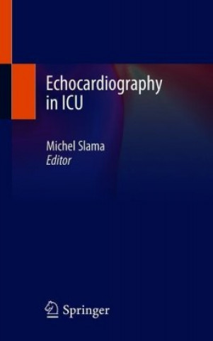 Kniha Echocardiography in ICU Michel Slama