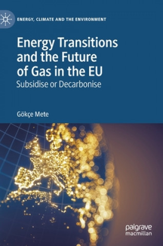 Kniha Energy Transitions and the Future of Gas in the EU Gokce Mete