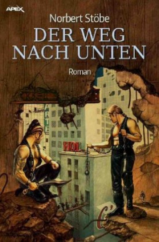 Kniha DER WEG NACH UNTEN Norbert Stöbe