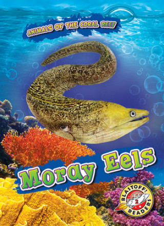 Book Moray Eels Lindsay Shaffer