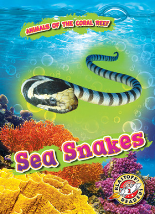 Könyv Sea Snakes 