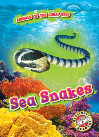 Książka Sea Snakes 