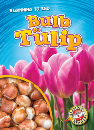 Könyv Bulb to Tulip Rachel A. Koestler-Grack