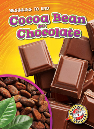 Carte Cocoa Bean to Chocolate Rachel A. Koestler-Grack