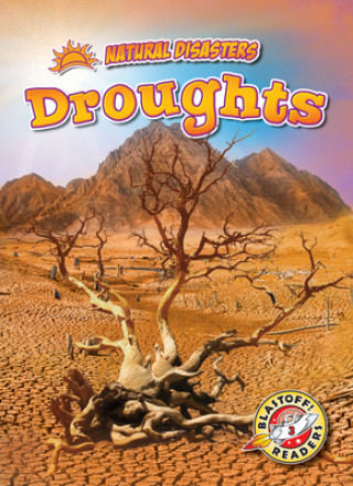 Buch Droughts Rebecca Pettiford