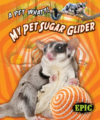 Könyv My Pet Sugar Glider 