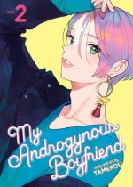 Könyv My Androgynous Boyfriend Vol. 2 