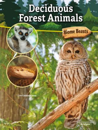 Book Deciduous Forest Animals 