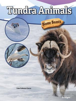 Książka Tundra Animals 