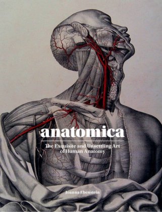 Kniha Anatomica Lucille Clerc
