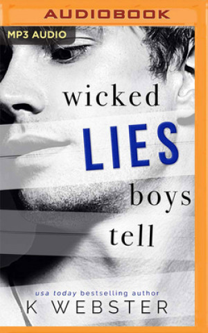 Digital Wicked Lies Boys Tell Teddy Hamilton