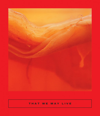 Könyv That We May Live: Speculative Chinese Fiction 