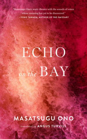 Buch Echo on the Bay Angus Turvill