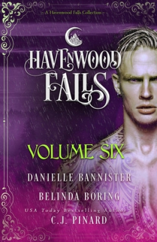 Kniha Havenwood Falls Volume Six: A Havenwood Falls Collection Belinda Boring