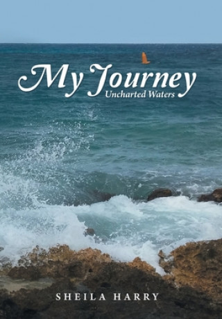 Buch My Journey Sheila Harry