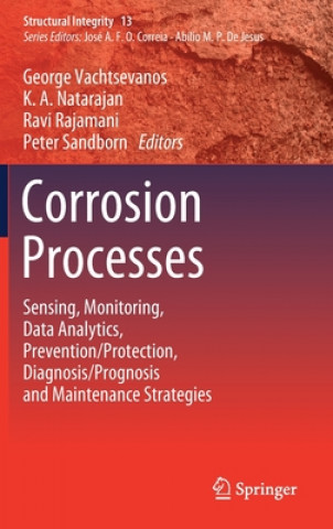 Kniha Corrosion Processes George Vachtsevanos