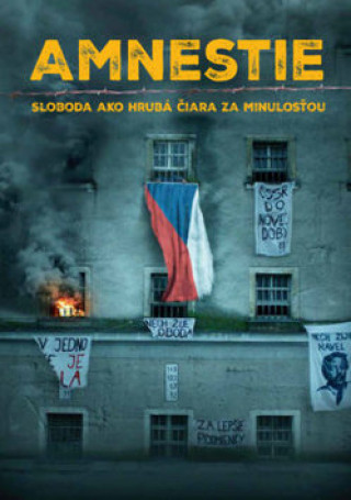 Kniha Amnestie collegium