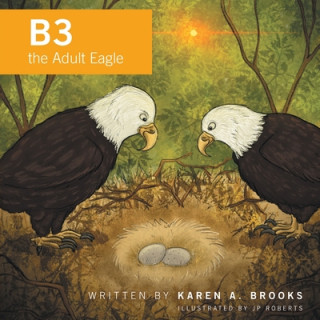 Buch B3 the Adult Eagle Jp Roberts