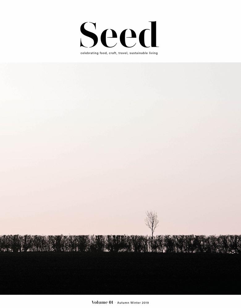 Kniha Seed Volume 1 Seed Magazine
